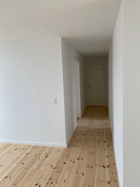 Læssøegade 8, 4 th - stuen mod gang